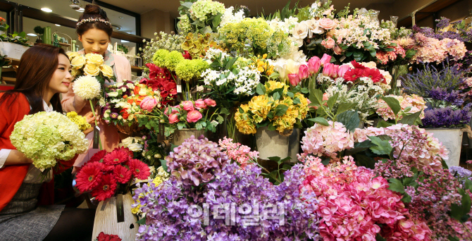 [포토]'형형색색 꽃으로 집을 꾸며보세요'