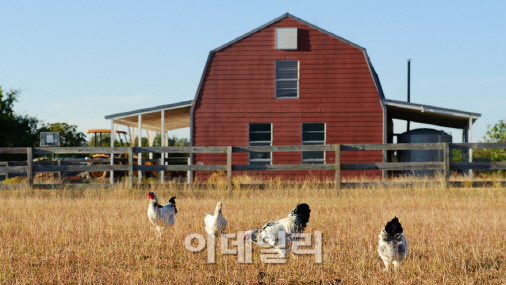 `스위스프랑·金·美국채는 가라`…새로 뜨는 안전자산들