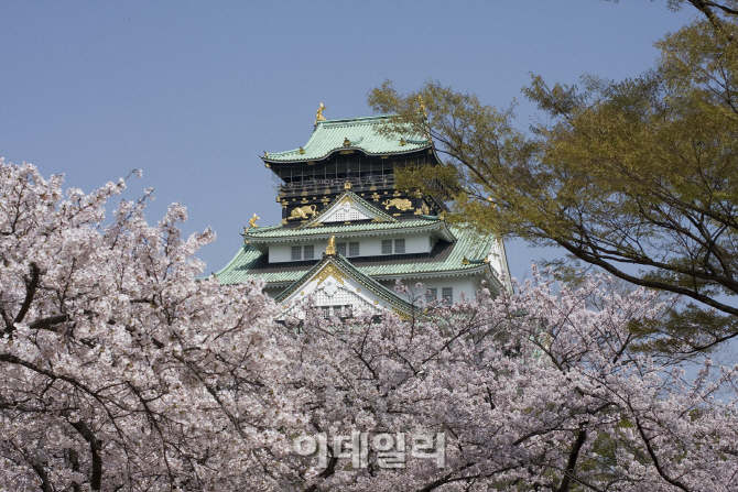 日 벚꽃구경가서 현지보다 싸게 트래블패스 사는 법