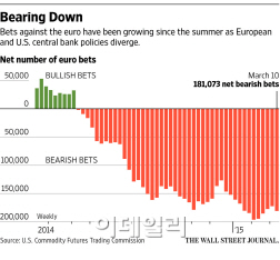 유로·엔 하락 베팅한 헤지펀드 `쾌재`…두달간 9% 수익도