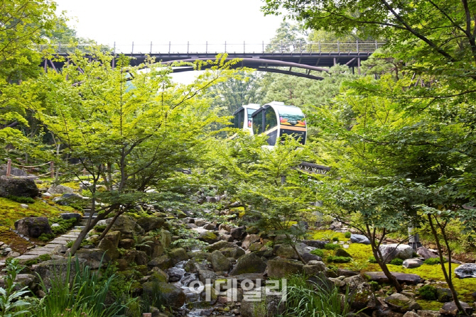 겨울잠에서 깬 '화담숲'으로 봄 꽃 맞으러 오세요