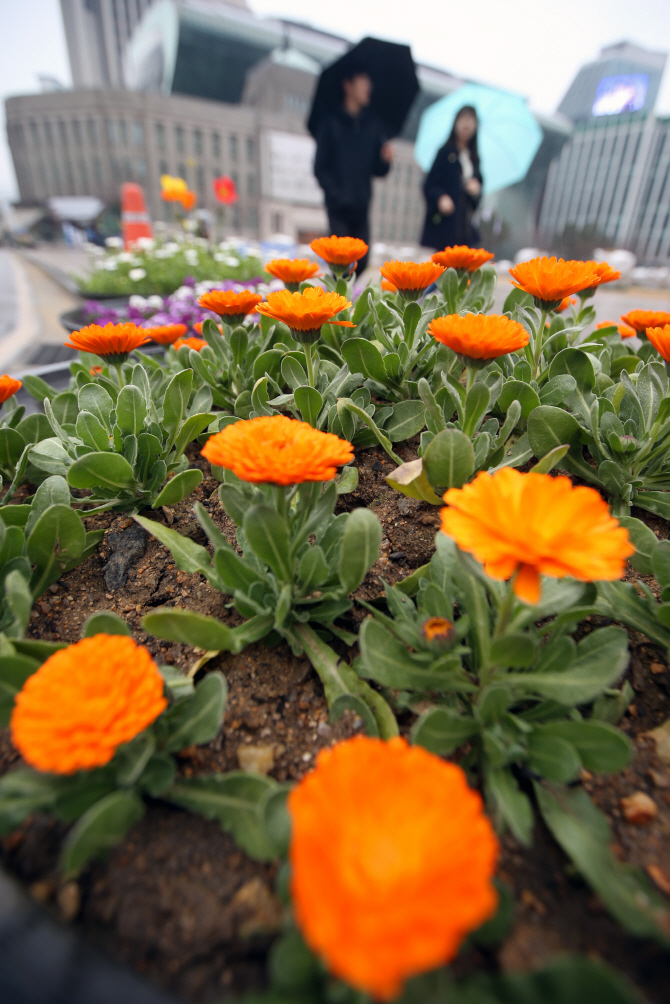 [포토] 미세먼지 씻어내는 봄비