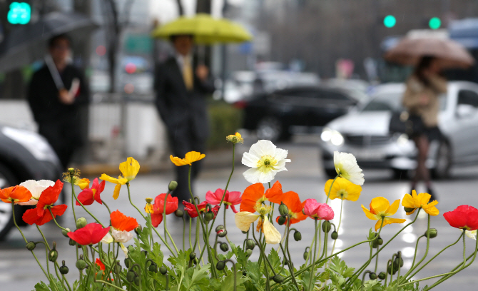 [포토] 미세먼지 씻어내는 봄비
