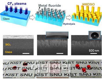 자연의 나노돌기 표면 이용해 기능성 유리 만든다