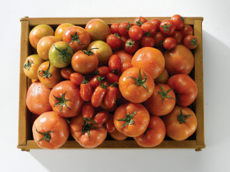 이마트 "토마토를 2종 이상 사면 25% 싸게"