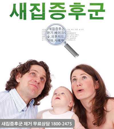 ‘새집증후군 제거’ 어떤 방법이 좋을까?