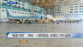 ‘땅콩 리턴’ 여파 … 대한항공, 브랜드 가치 급락 外