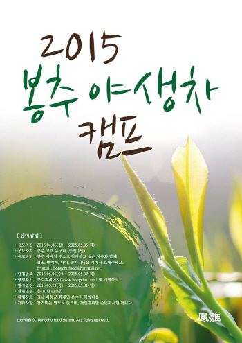 봉추찜닭, 무료 야생茶 캠프 참가자 모집