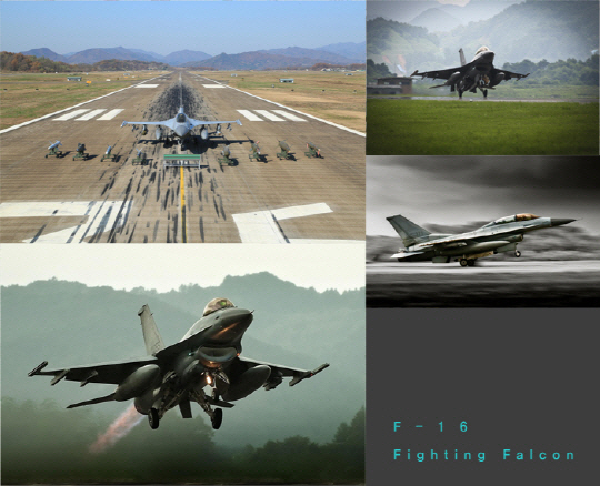 미군 전투기 F-16, 전남 무안공항 비상 착륙..유독성 하이드라진 누출 없어