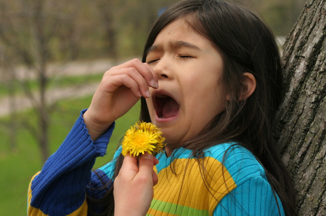 알레르기성 비염, 급성 편도선염, 수족구병… 올 봄 주의해야