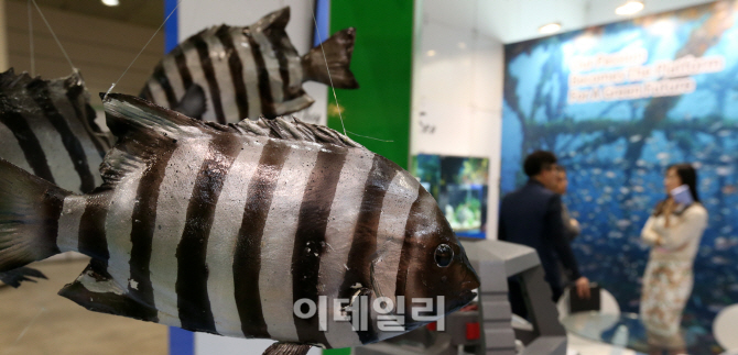 [포토]한자리에 볼 수 있는 '2015 서울수산식품 전시회'