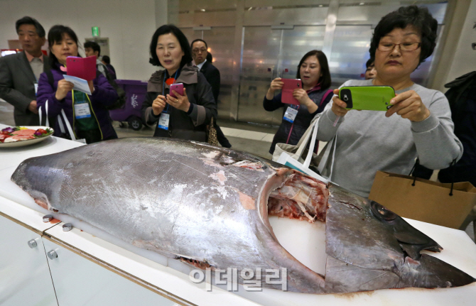 [포토]수산물을 한자리에 볼 수 있는 '2015 서울수산식품 전시회'