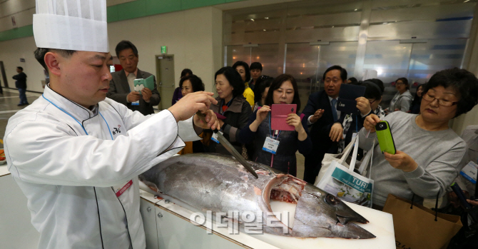 [포토]참치해체쇼