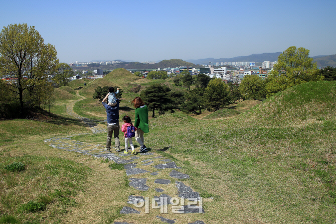  걷는 봄맛…대구 불로동 고분군과 닭똥집 골목