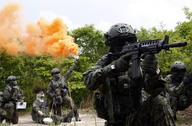 [포토] 조난 조종사 구조작전