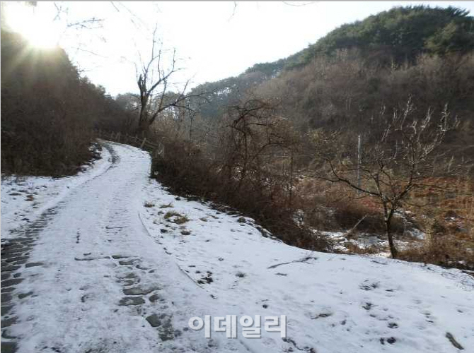 [양기자의 쏙쏙경매]지리산 깊은 산골 66명 몰린 이유