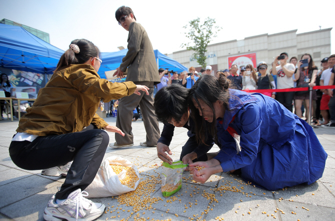  옥수수 한 톨이라도..                                                                                                                                                                             