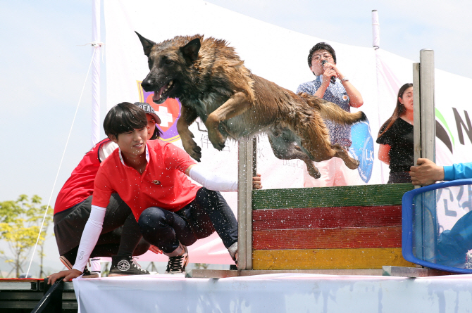 [포토] 날아라 '플라잉 도그(flying dog)'