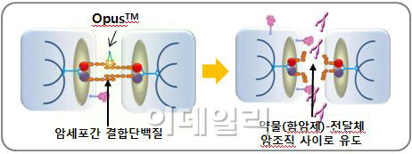 삼양바이오팜, 종양 침투촉진 기술 도입.."항암 신약 개발 박차"