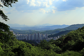  쪽동백 융단 밟고 족도리풀 눈맞추는 꽃길