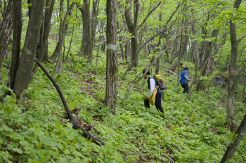  야생화의 보고 '영천의 진산' 트레킹