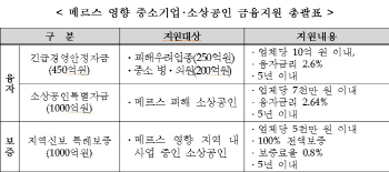 중기청, 메르스 피해 중기·소상공인에 2450억원 금융지원