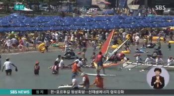 맹독 문어에 해파리까지, 바다서 쏘였을 시 대처법은?