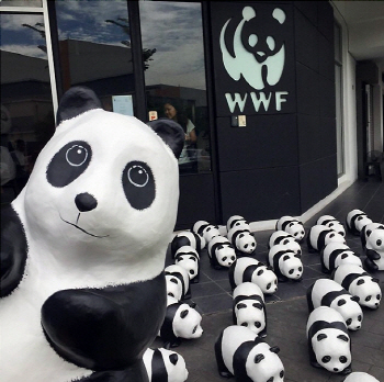 `1600마리 팬더`, 석촌호수 집결..왜?