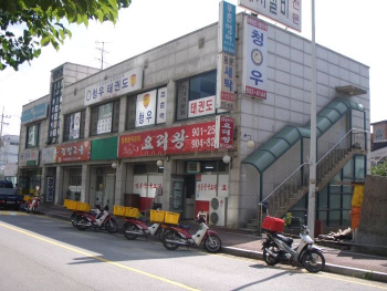 대기업 부장 월급 나오는 일산 상가건물