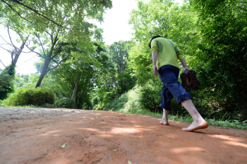  말랑말랑한 '계족산 황톳길 걷기' 어떠세요