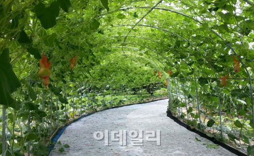 칠백의총 호국정신 기리며 민속놀이 체험