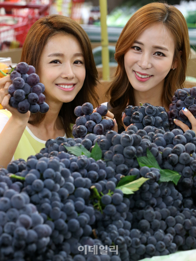 [포토]롯데마트, '새콤달콤 거봉포도 맛보세요!'