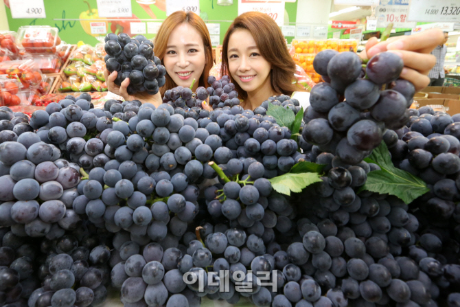 [포토]롯데마트, '몸에 좋은 거봉포도' 할인 판매