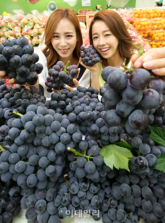 [포토]롯데마트, '몸에 좋은 거봉포도' 판매