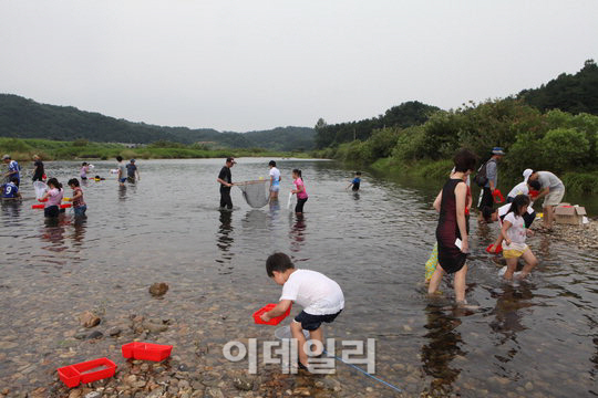  전국 축제장으로 여름휴가 출발!