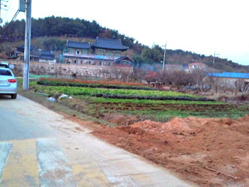 개발호재 울산 '농지' 49명 군침