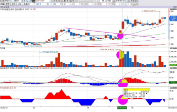 아무나 고래등에 올라탈 수 없다