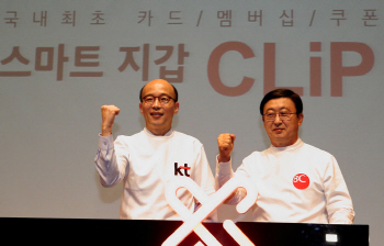 `주변 매장 혜택을 한 눈에`..전자지갑 '클립' 출시(일문일답)