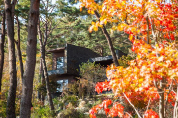  리솜포레스트 풍광에 곁들인 '별색'