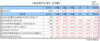 잘나가던 동남아펀드가 왜?..1년새 마이너스 추락