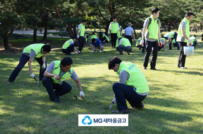 [포토]새마을금고, 선·정릉 문화재 보호 자원봉사활동 펼쳐