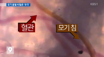 모기 후각기관, 사람 혈관 찌르는 신비의 기술 '이것'