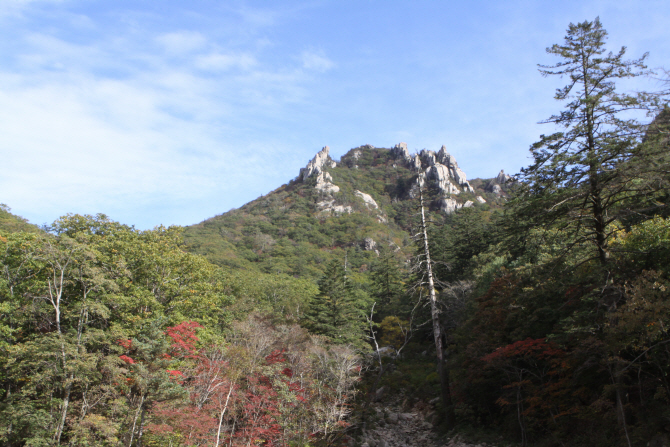[포토] 설악산 단풍