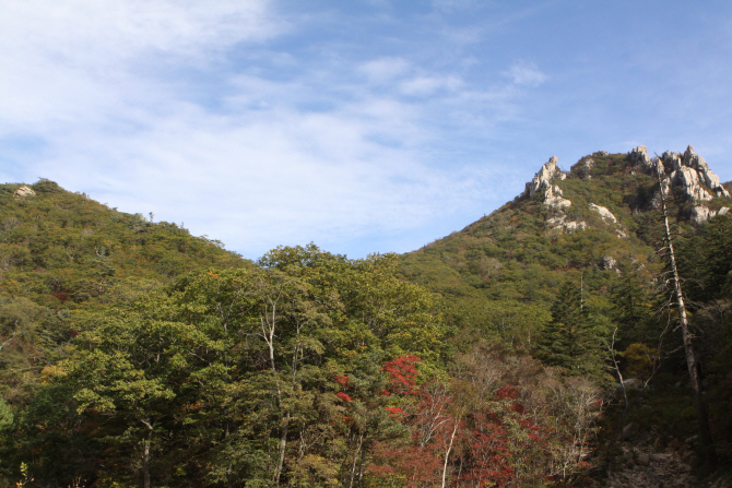 [포토] 설악산 '만산홍엽' 단풍절정