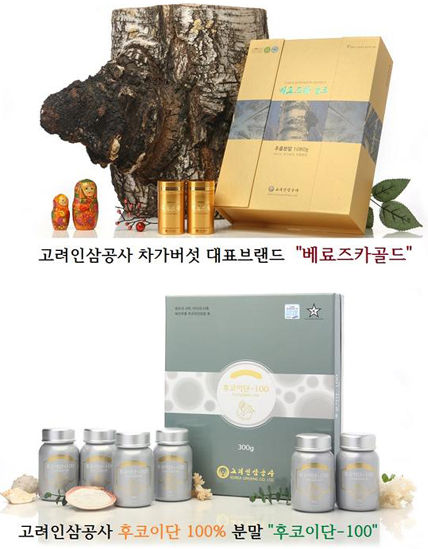 고려인삼공사 차가버섯, 후코이단으로 환절기 건강관리