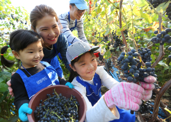 삼성, 글로벌 17만 임직원 참여 '자원봉사 대축제' 실시