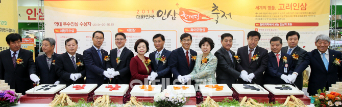 [포토]'2015 대한민국 인삼 한마당 축제'
