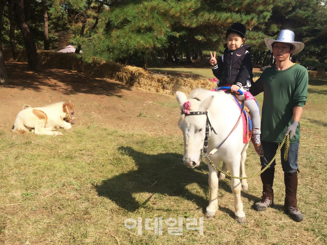 [포토]온 가족이 즐거운 ‘제2회 코리아 승마 페스티벌’ 열려