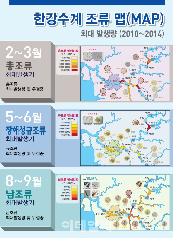서울시, 녹조 발생 예측 ‘한강수계 조류맵’ 국내 최초 개발