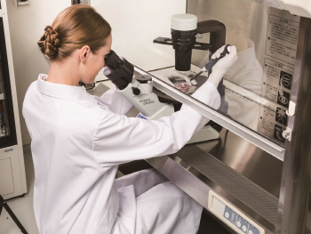 올림푸스, 화질·조작 편의성 강화 '세포배양 현미경' 출시